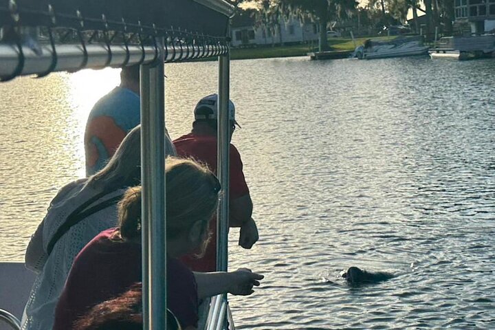 Sjöko-kryssning i Crystal River, Florida, med möten med vilda djur, foto 6 | wizardtrip
