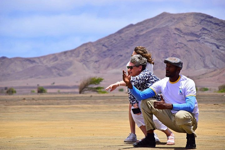 Tour de dia inteiro pela Ilha do Sal, Cabo Verde, com maravilhas naturais e locais culturais, foto 12 | wizardtrip