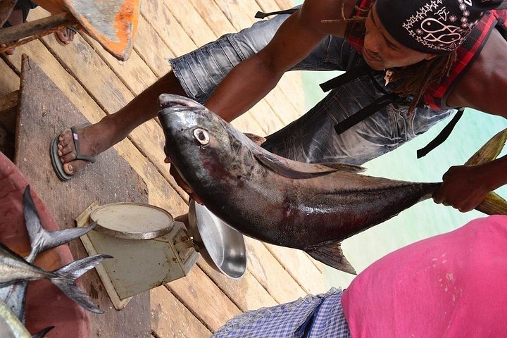 Tour de dia inteiro pela Ilha do Sal, Cabo Verde, com maravilhas naturais e locais culturais, foto 37 | wizardtrip