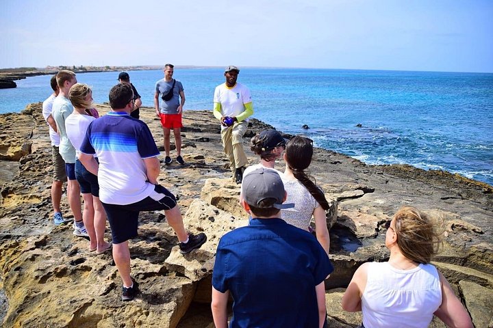 Passeio de meio dia pelas atrações naturais da Ilha do Sal, incluindo Baía dos Tubarões, Olho Azul e Lagoa de Sal, foto 24 | wizardtrip