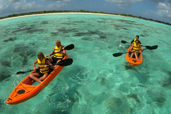 Kajaktour mit Glasboden durch Bonaires Mangroven mit Schnorcheln, Foto 3 | wizardtrip