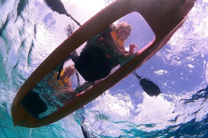 Kajaktour mit Glasboden durch Bonaires Mangroven mit Schnorcheln, Foto 6 | wizardtrip