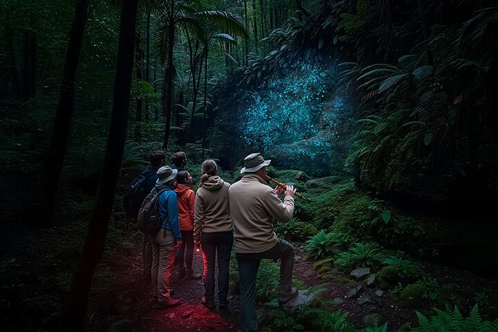 Experience glow worms, waterfalls, and rainforests near Byron Bay, Australia, photo 7 | wizardtrip