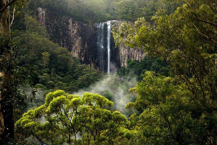 Experience glow worms, waterfalls, and rainforests near Byron Bay, Australia, photo 10 | wizardtrip