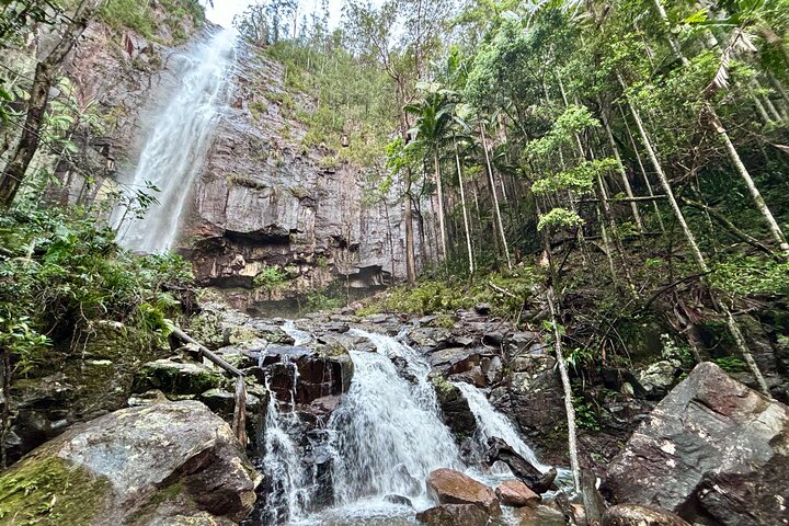 Experience glow worms, waterfalls, and rainforests near Byron Bay, Australia, photo 16 | wizardtrip
