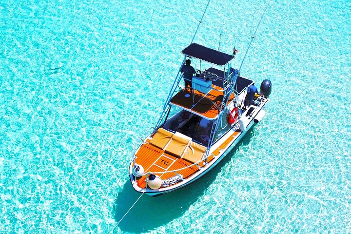 Plongée avec tuba El Cielo en bateau privé | wizardtrip