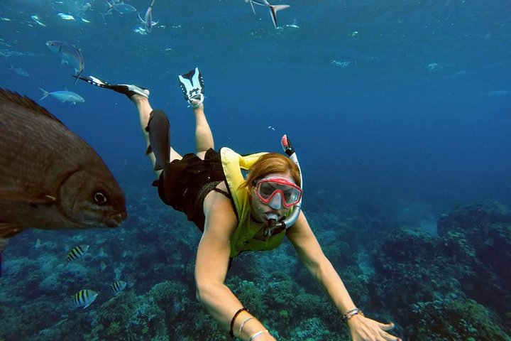 Excursion privée en bateau à Cozumel, Mexique, pour plonger avec tuba, explorer les récifs et les plages isolées, photo 7 | wizardtrip