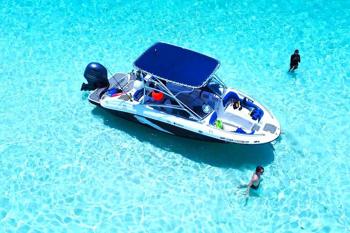 Excursion privée en bateau à Cozumel, Mexique, pour plonger avec tuba, explorer les récifs et les plages isolées, photo 8 | wizardtrip
