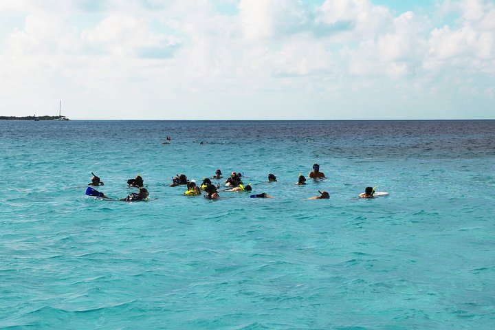 Excursion privée en bateau à Cozumel, Mexique, pour plonger avec tuba, explorer les récifs et les plages isolées, photo 11 | wizardtrip