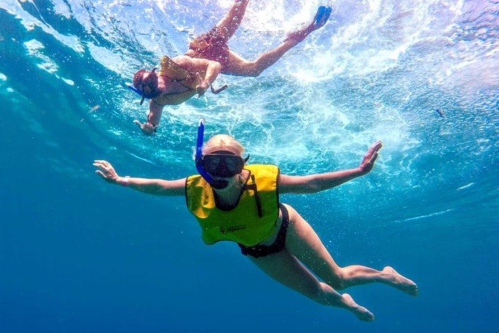 Excursion privée en bateau à Cozumel, Mexique, pour plonger avec tuba, explorer les récifs et les plages isolées, photo 14 | wizardtrip