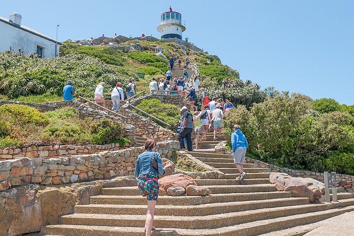 Privat heldagstur på Cape-halvøya i Cape Town, inkludert Kapp det gode håp og pingviner, foto 22 | wizardtrip