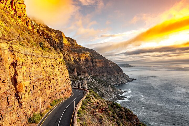 Privat heldagstur på Cape-halvøya i Cape Town, inkludert Kapp det gode håp og pingviner, foto 30 | wizardtrip