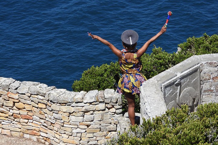 Privat heldagstur på Cape-halvøya i Cape Town, inkludert Kapp det gode håp og pingviner, foto 49 | wizardtrip