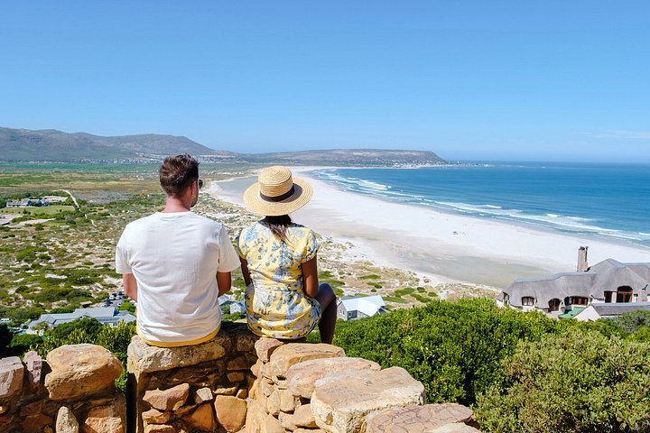 Tour panoramico di mezza giornata della penisola del Capo, dei pinguini di Boulders Beach, del Capo di Buona Speranza e di Chapman's Peak Drive da Città del Capo, foto 8 | wizardtrip