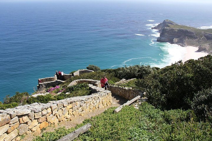 Tour panoramico di mezza giornata della penisola del Capo, dei pinguini di Boulders Beach, del Capo di Buona Speranza e di Chapman's Peak Drive da Città del Capo, foto 14 | wizardtrip