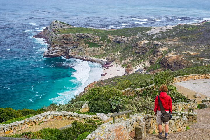 Tour panoramico di mezza giornata della penisola del Capo, dei pinguini di Boulders Beach, del Capo di Buona Speranza e di Chapman's Peak Drive da Città del Capo, foto 27 | wizardtrip