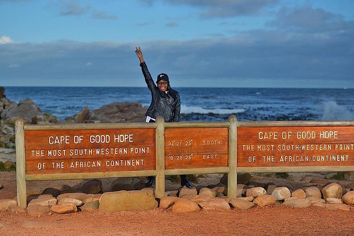 Un tour panoramico dei luoghi iconici di Città del Capo, tra cui Table Mountain, Cape Point e i pinguini, foto 18 | wizardtrip