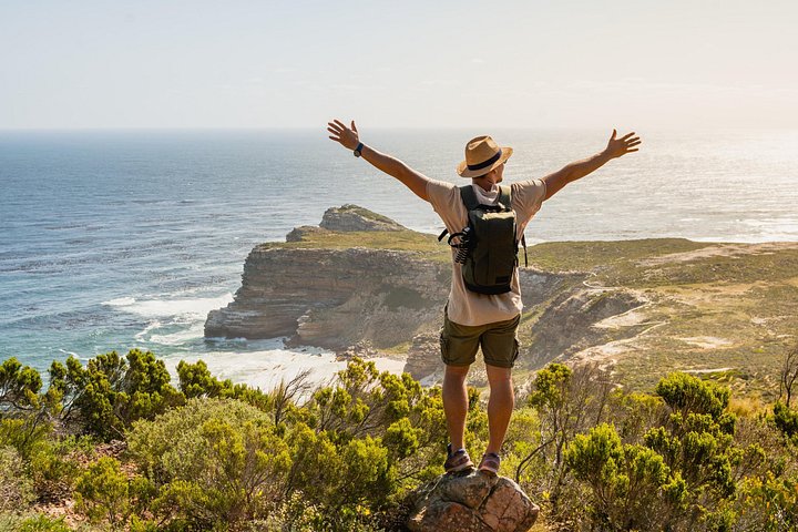 Un tour panoramico dei luoghi iconici di Città del Capo, tra cui Table Mountain, Cape Point e i pinguini, foto 26 | wizardtrip