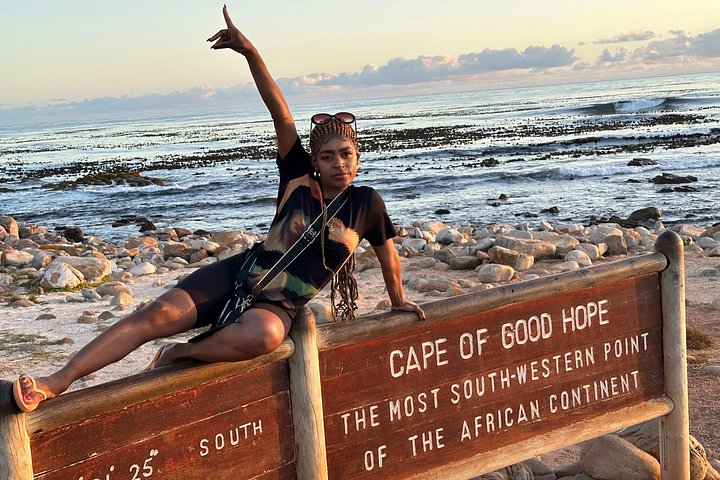 Un tour panoramico dei luoghi iconici di Città del Capo, tra cui Table Mountain, Cape Point e i pinguini, foto 29 | wizardtrip