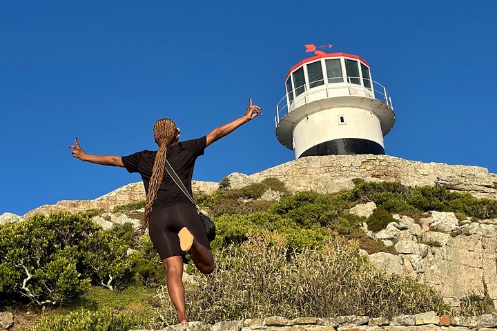 Un tour panoramico dei luoghi iconici di Città del Capo, tra cui Table Mountain, Cape Point e i pinguini, foto 35 | wizardtrip