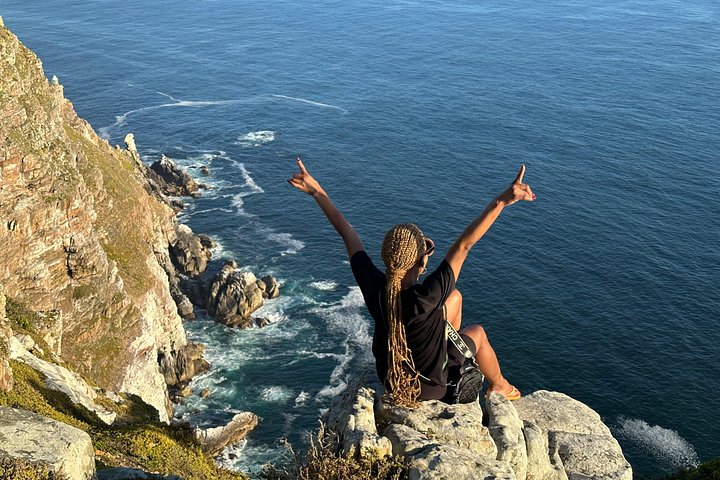 Un tour panoramico dei luoghi iconici di Città del Capo, tra cui Table Mountain, Cape Point e i pinguini, foto 36 | wizardtrip