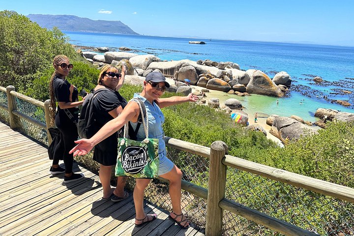 Un tour panoramico dei luoghi iconici di Città del Capo, tra cui Table Mountain, Cape Point e i pinguini, foto 47 | wizardtrip