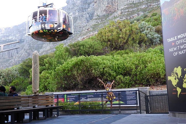 Un tour panoramico dei luoghi iconici di Città del Capo, tra cui Table Mountain, Cape Point e i pinguini, foto 48 | wizardtrip