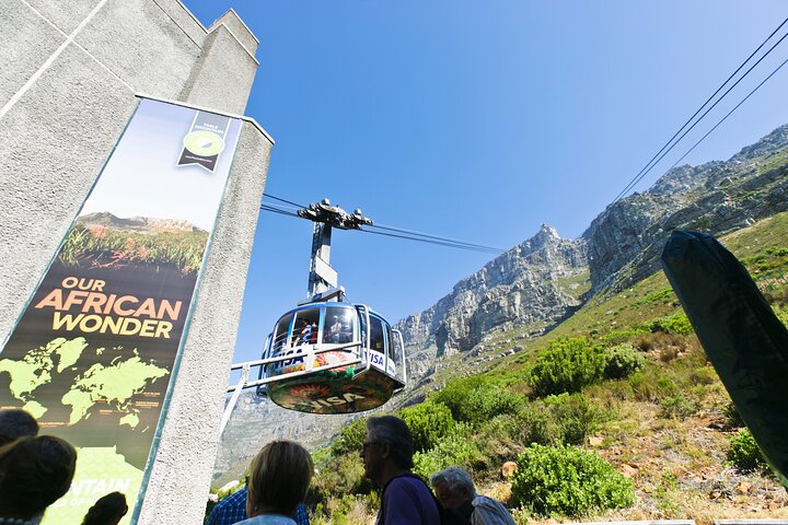 Table Mountain, Pingouins & Cape Point : Excursion en groupe depuis Le Cap | wizardtrip