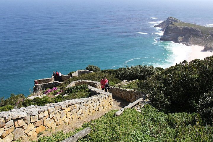 Privat tur til Cape Towns Table Mountain, pingvinene ved Boulders Beach og Cape Point, foto 14 | wizardtrip