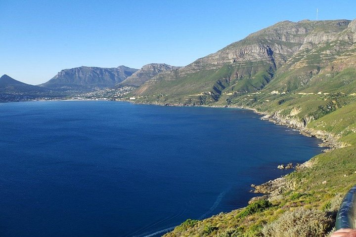 Privat tur til Cape Towns Table Mountain, pingvinene ved Boulders Beach og Cape Point, foto 15 | wizardtrip