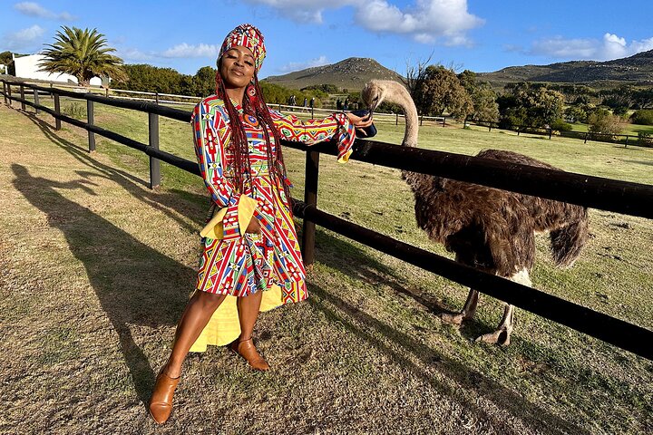 Privat tur til Cape Towns Table Mountain, pingvinene ved Boulders Beach og Cape Point, foto 40 | wizardtrip