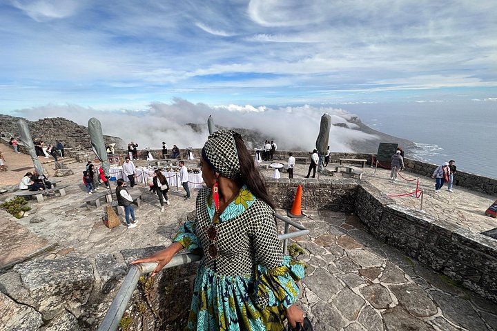 Privat tur til Cape Towns Table Mountain, pingvinene ved Boulders Beach og Cape Point, foto 48 | wizardtrip