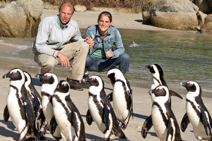 Liten gruppe luksustur til Cape of Good Hope, Boulders Beach pingviner og Bo-Kaap i Cape Town, foto 7 | wizardtrip