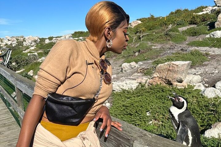 Liten gruppe luksustur til Cape of Good Hope, Boulders Beach pingviner og Bo-Kaap i Cape Town, foto 8 | wizardtrip