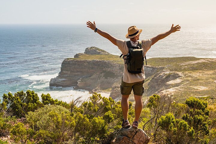 Liten gruppe luksustur til Cape of Good Hope, Boulders Beach pingviner og Bo-Kaap i Cape Town, foto 14 | wizardtrip