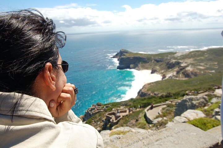 Liten gruppe luksustur til Cape of Good Hope, Boulders Beach pingviner og Bo-Kaap i Cape Town, foto 42 | wizardtrip