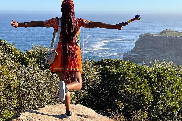 Liten gruppe luksustur til Cape of Good Hope, Boulders Beach pingviner og Bo-Kaap i Cape Town, foto 46 | wizardtrip