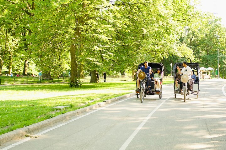Pedicab tour through New York's Central Park, visiting famous landmarks and photo spots, photo 16 | wizardtrip