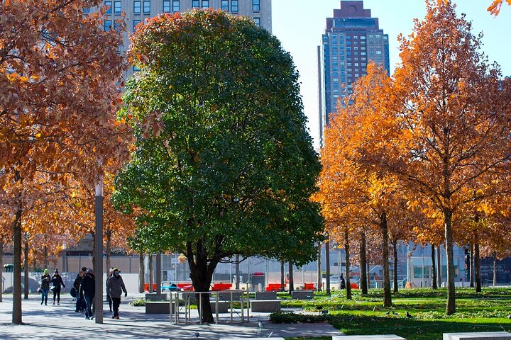 Guidet tur til 9/11 Memorial og Museum i New York City, foto 26 | wizardtrip