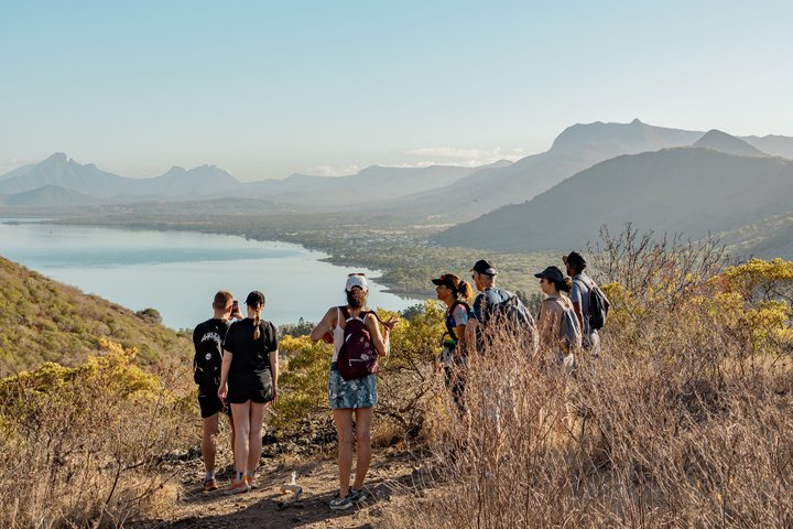 Randonnée guidée sur l'historique montagne du Morne Brabant à Maurice, offrant des vues imprenables, photo 9 | wizardtrip