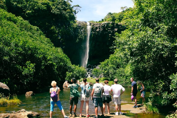 Wandelen 7 Watervallen (Tamarind Falls) - Halve Dag | wizardtrip