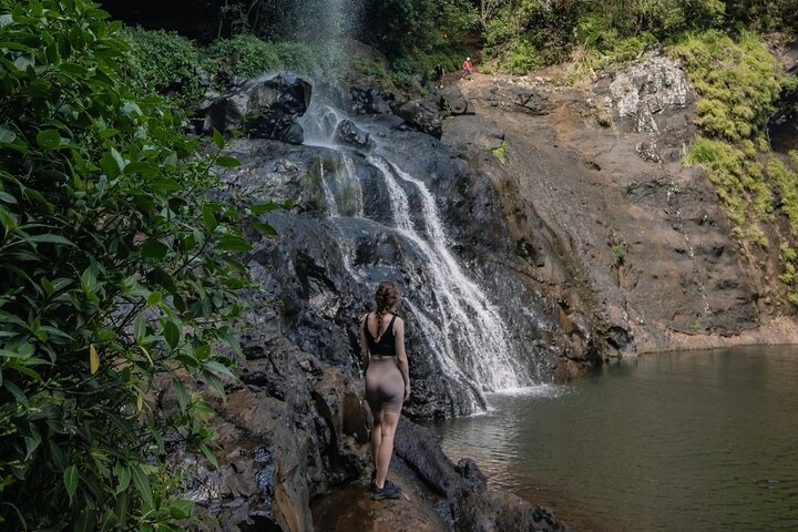 Guidad vandring till de fantastiska Tamarind Falls (7 vattenfall) på Mauritius, med frodig natur och vattenfall, foto 2 | wizardtrip