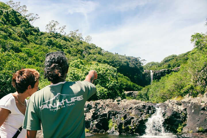 Guidad vandring till de fantastiska Tamarind Falls (7 vattenfall) på Mauritius, med frodig natur och vattenfall, foto 5 | wizardtrip