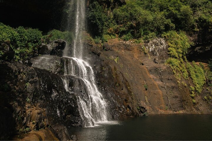 Guidad vandring till de fantastiska Tamarind Falls (7 vattenfall) på Mauritius, med frodig natur och vattenfall, foto 12 | wizardtrip