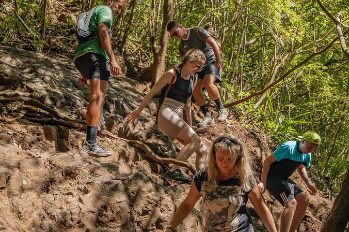 Guidad vandring till de fantastiska Tamarind Falls (7 vattenfall) på Mauritius, med frodig natur och vattenfall, foto 15 | wizardtrip