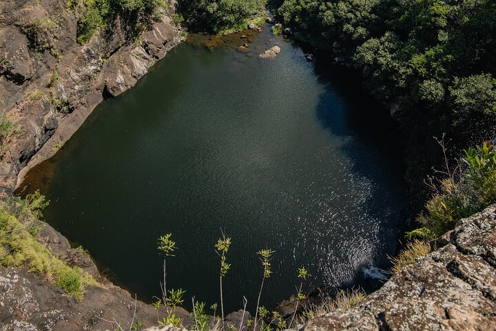 Guidad vandring till de fantastiska Tamarind Falls (7 vattenfall) på Mauritius, med frodig natur och vattenfall, foto 16 | wizardtrip