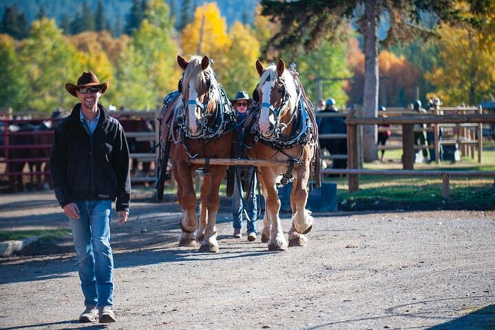 Koetsrit en western cookout ervaring in Banff, Canada, foto 6 | wizardtrip