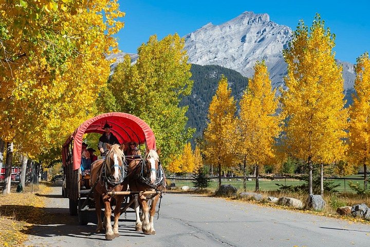 Koetsrit en western cookout ervaring in Banff, Canada, foto 15 | wizardtrip