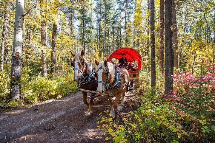 Koetsrit en western cookout ervaring in Banff, Canada, foto 16 | wizardtrip