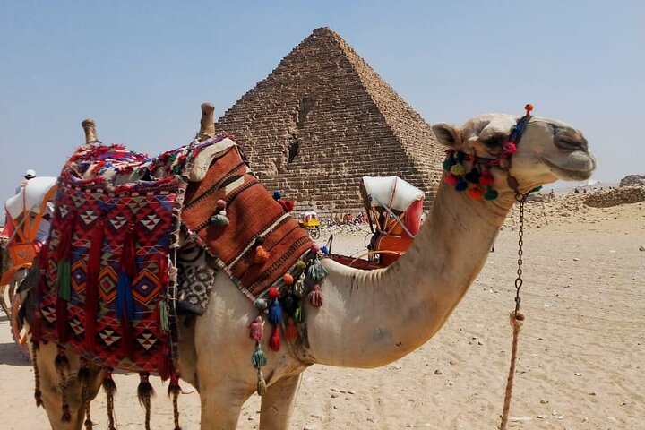 Heldagstur fra Sharm El Sheikh til Cairo med pyramider, sfinks og museer, foto 12 | wizardtrip
